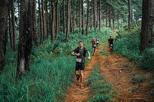 BIB: 
                            <button type="button" onclick="openModal(25652619)" class="btn btn-primary btn-sm float-right btn-popup" data-toggle="modal" data-target=".modal-high-quality">
                        <i class="fas fa-shopping-cart"></i> Add to Cart
                    </button>
                                            <button type="button" onclick="isThisMe(25652619, true)" class="btn btn-success btn-sm float-right btn-popup btn-isme hidden" data-toggle="tooltip" data-placement="bottom" title="นี่คือรูปของคุณใช่ไหม คลิกที่นี่เพื่อเอาเข้าอัลบั้ม">
                        <i class="fas fa-plus"></i> Add to album
                    </button>
                    <button type="button" onclick="isThisMe(25652619, false)" class="btn btn-warning btn-sm float-right btn-popup btn-isnotme hidden">
                        <i class="fas fa-ban"></i> Remove from album
                    </button>